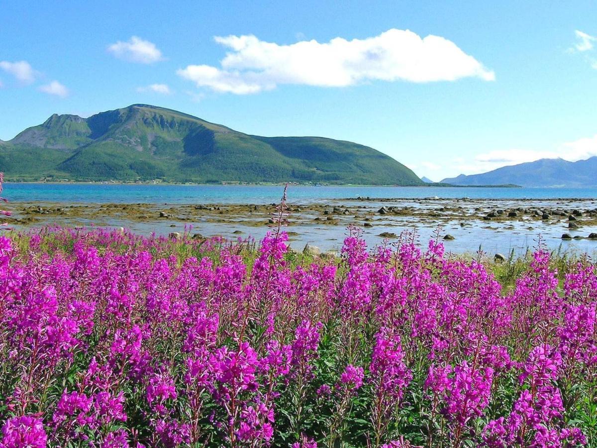 Holiday Home Sortland III Esterno foto